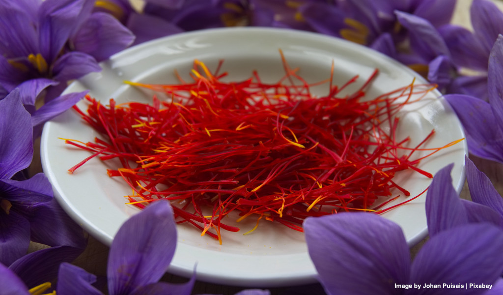 Saffron: Discover the Health Benefits and Uses of the Golden Spice 1 Saffron and its health benefits